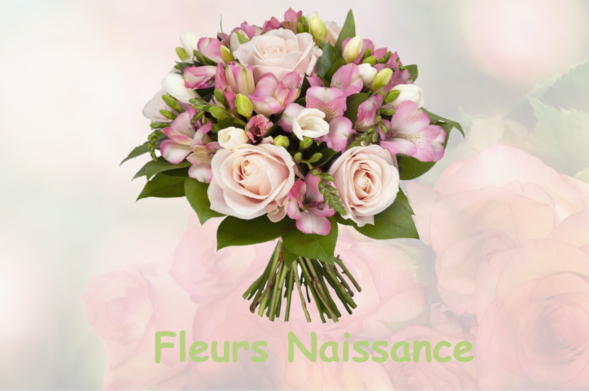 fleurs naissance TARASCON